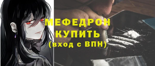 молекула духа Богородицк
