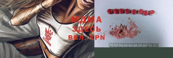 молекула духа Богородицк