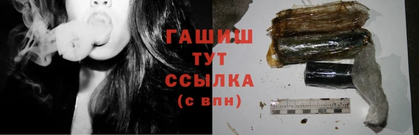 молекула духа Богородицк
