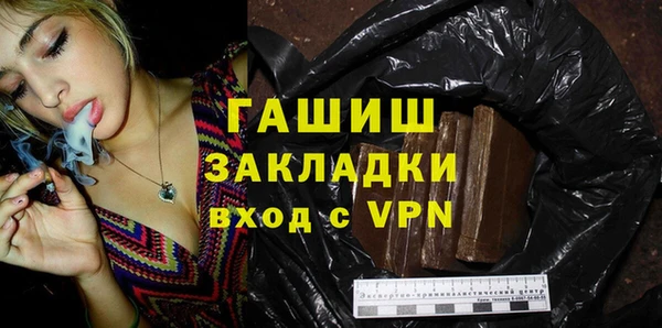 молекула духа Богородицк